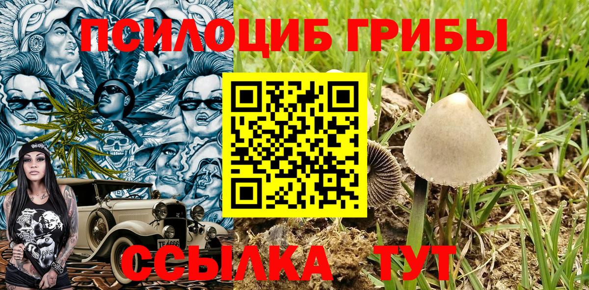 Псилоцибиновые грибы мухоморы Новочебоксарск